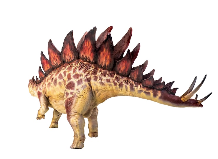 Foto dinossauro estegossauro fundo isolado
