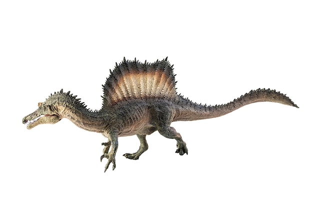 Dinossauro Spinosaurus em fundo branco