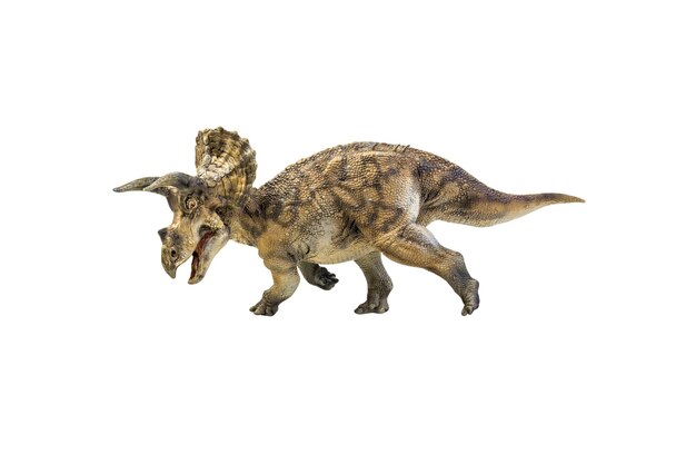 Dinossauro triceratops em um caminho isolado de recorte de fundo