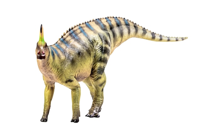 Foto dinossauro tsintaosaurus spinorhinus em fundo branco isolado trajeto de recorte