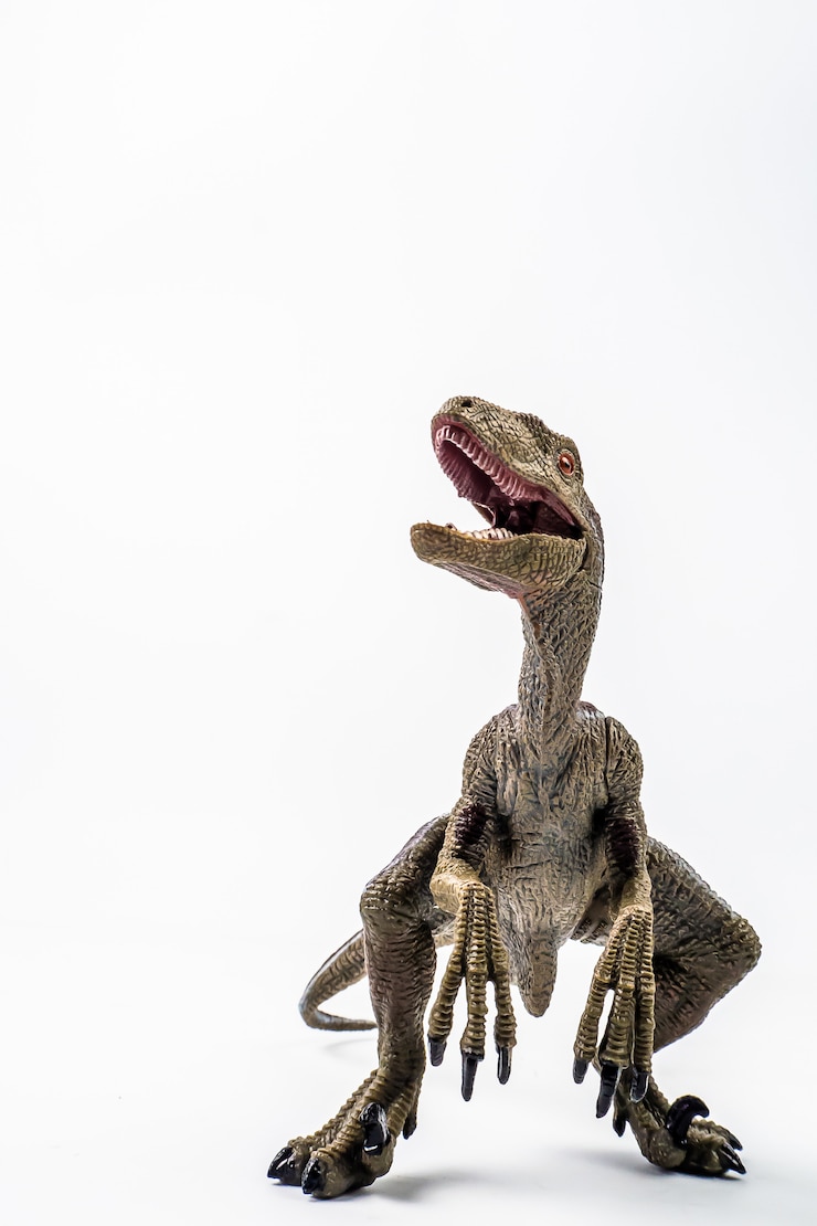 Foto dinossauro, velociraptor em fundo branco