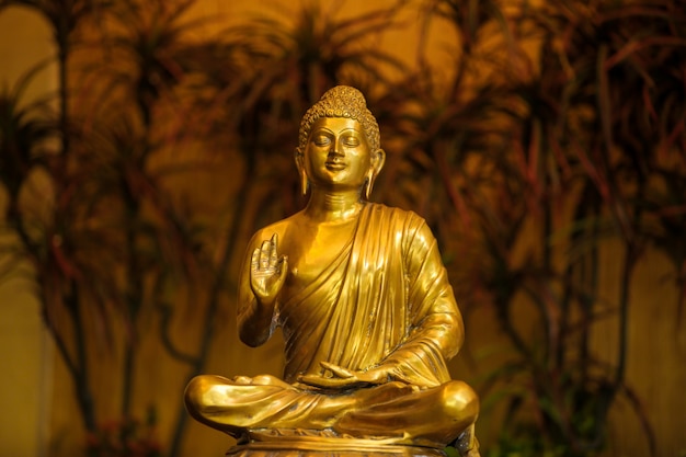 Dios goutama buddha