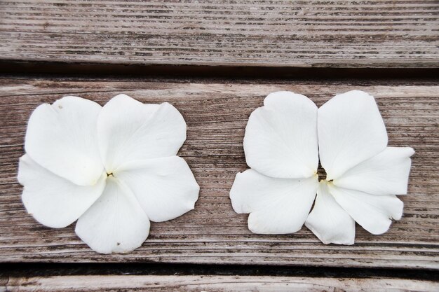 Foto directamente por encima de la toma de las flores blancas en la mesa