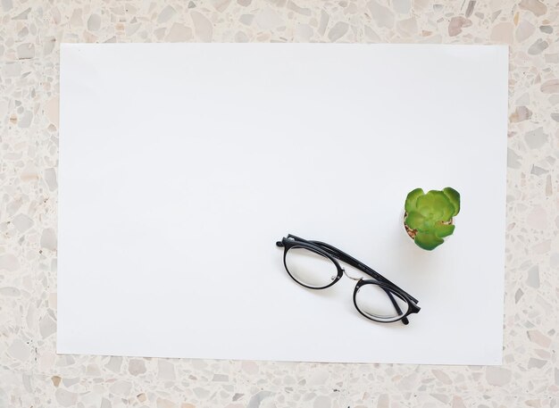 Foto directamente por encima de la toma de gafas y planta en olla en la mesa