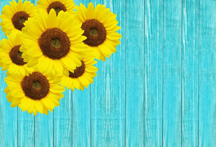Foto directamente por encima de la toma de girasol en la mesa