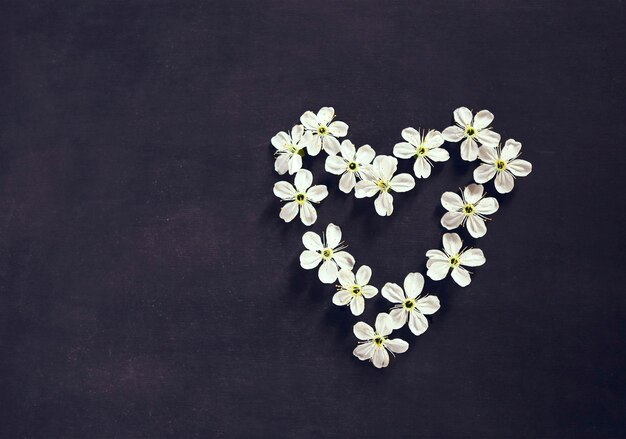 Foto directamente por encima de la toma de una rosa blanca contra un fondo negro