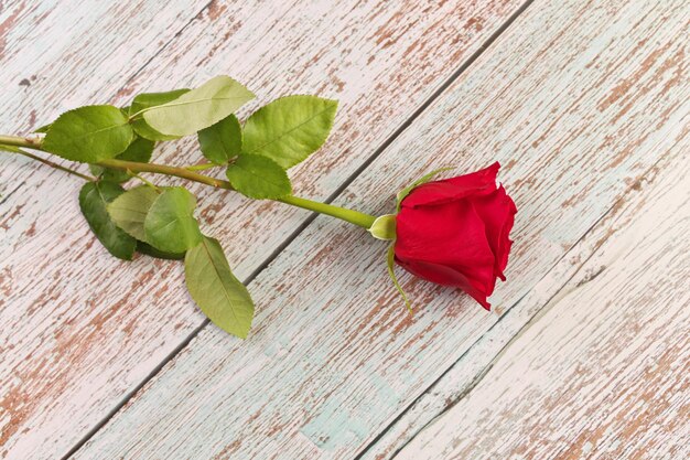 Directamente por encima de la vista de una sola rosa roja en una mesa de madera rústica