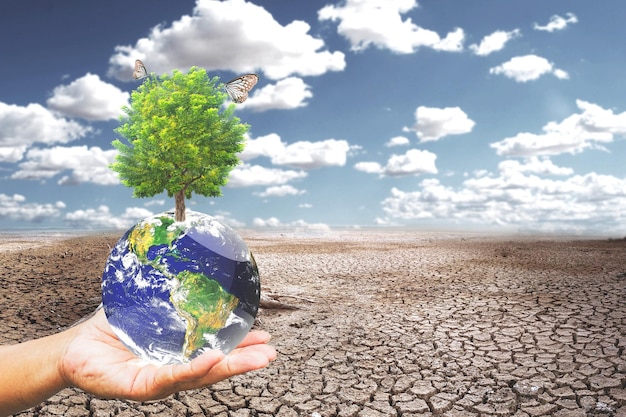 Directrices de Conservación Ambiental Amar el mundo Salvar el mundo Comparar el mundo brillante y hermoso con el mundo árido