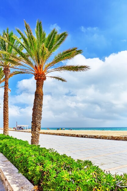 Direkt am Meer, Strand, Küste in Spanien. Vorort von Barcelona, Katalonien