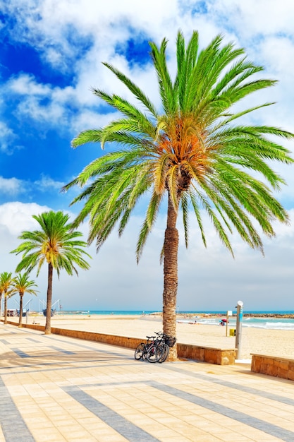 Direkt am Meer, Strand, Küste in Spanien. Vorort von Barcelona, Katalonien