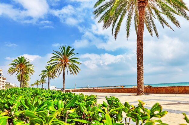 Direkt am Meer, Strand, Küste in Spanien. Vorort von Barcelona, Katalonien