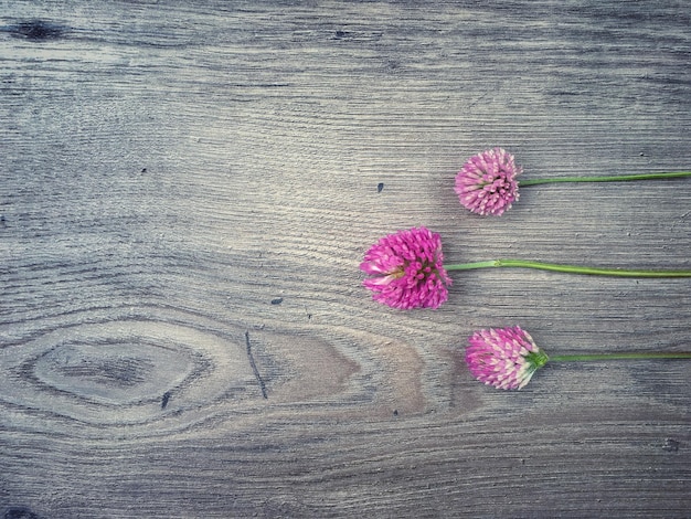 Direkt über Blumen auf dem Tisch