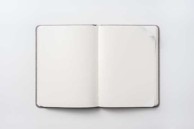 Direkt über dem Bild des offenen Buches auf weißem Hintergrund