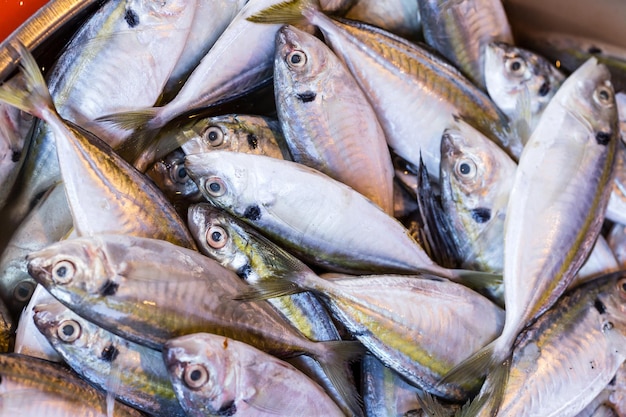 Direkt über dem Fischfang in Containern auf dem Markt