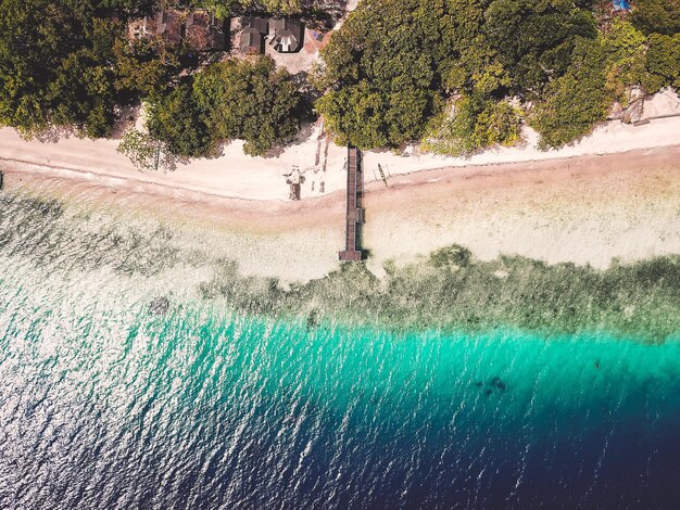 Foto direkt über dem strand und den bäumen