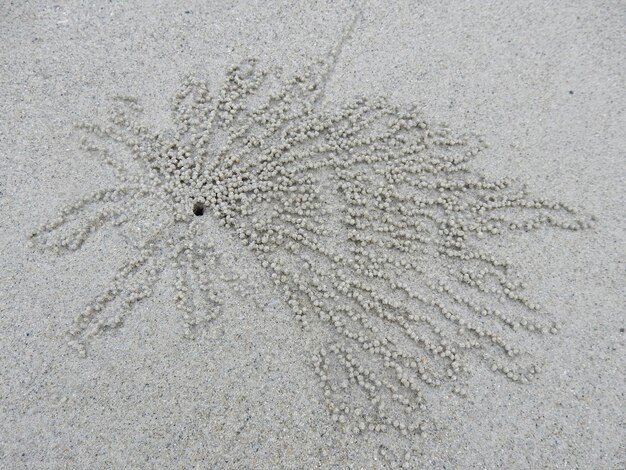 Foto direkt über den krabbenlöchern am sandstrand