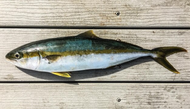 Foto direkt über einem fischschuss auf einer holzplatte