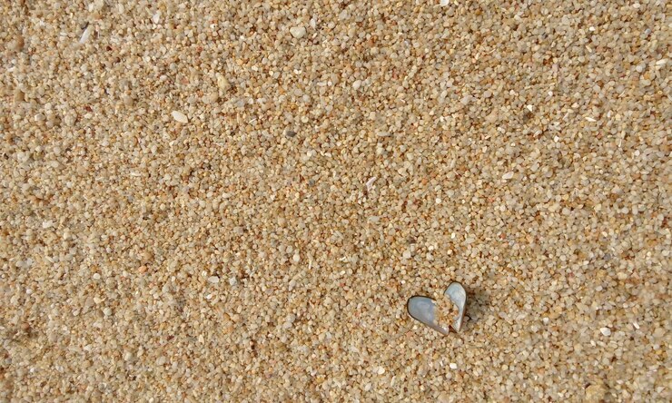 Foto diretamente acima da foto de uma concha em forma de coração na praia
