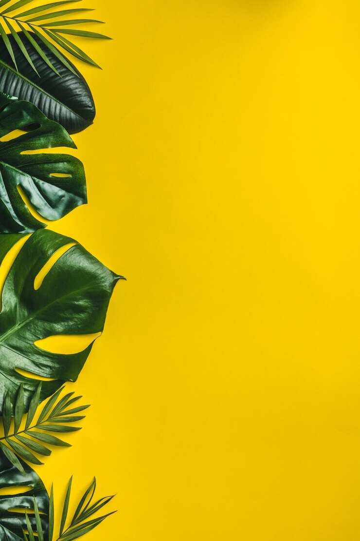 Foto diretamente acima da tomada de folhas em fundo amarelo
