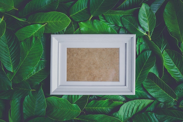 Diretamente acima da tomada de quadro em folhas