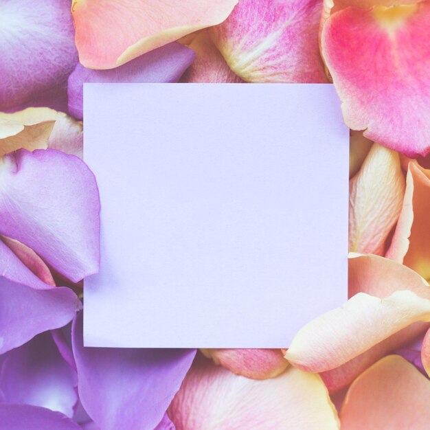 Foto diretamente acima de um tiro de papel em branco em meio a pétalas de rosa