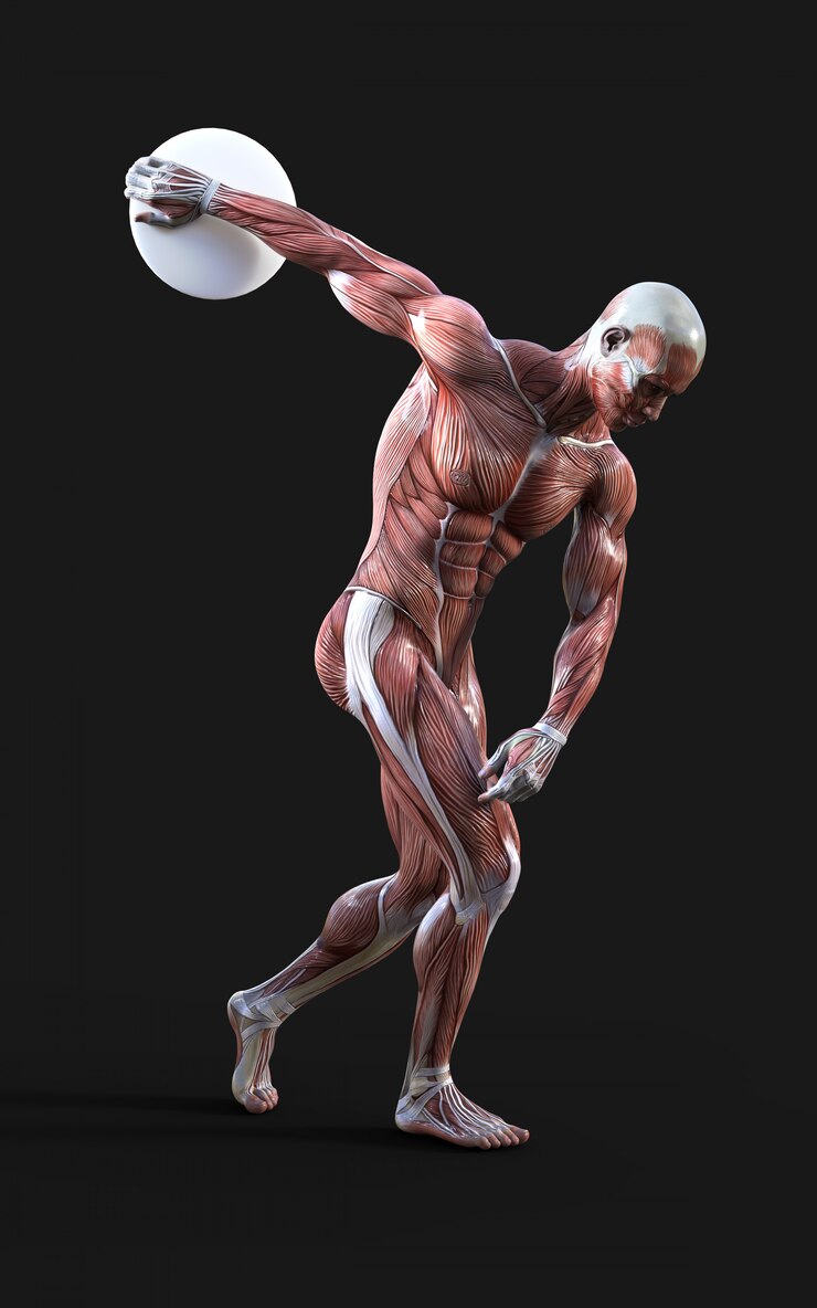 Foto discobolus - 3d render de figuras masculinas posar com músculo