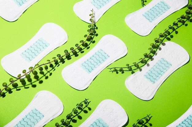 Discos menstruais zero desperdício para higiene feminina jn green Período sustentável