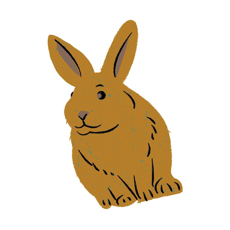 Foto diseño artístico vectorial de ilustraciones de conejos