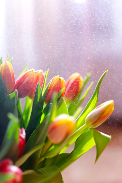 Diseño de borde floral de ramo de tulipanes encantadores para vacaciones de primavera tarjeta de felicitación del día de la madre