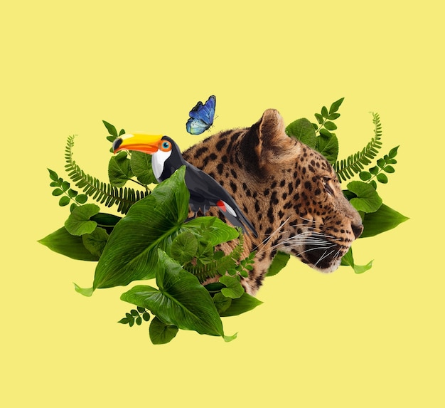 Diseño de collage de paisajes tropicales