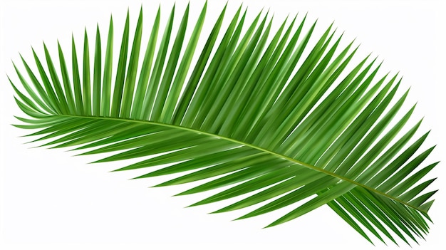 Foto diseño de conjuntos de hojas verdes de plantas tropicales decorativas generado por ia