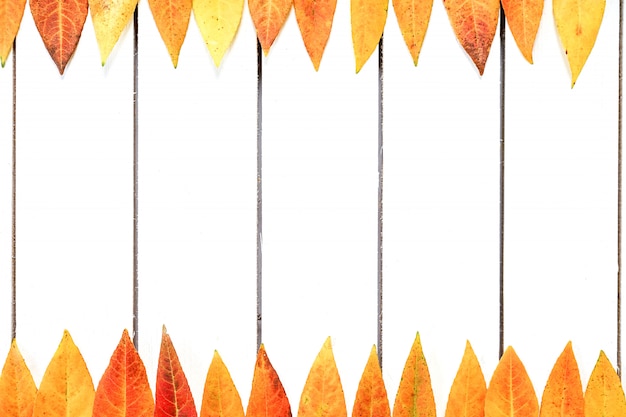 Diseño creativo de coloridas hojas de otoño. Endecha plana sobre fondo blanco de madera.