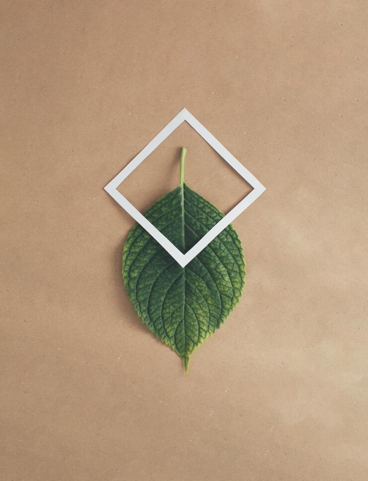 Foto diseño creativo hecho de hoja verde con nota de tarjeta de papel concepto de naturaleza laicos plana