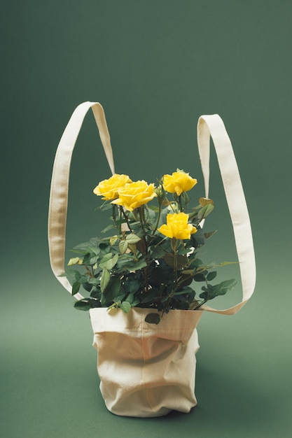 Diseño creativo hecho de rosas amarillas en bolsa ecológica sobre fondo verde pastel Fondos de pantalla de diseño de naturaleza mínima o maqueta Concepto de San Valentín o día de la mujer