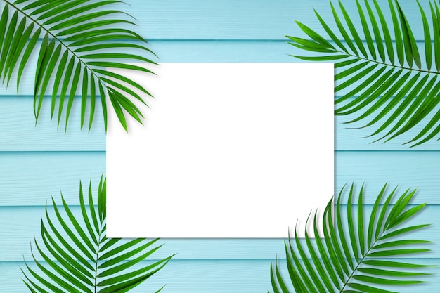 Diseño creativo de hojas de palmera verde Fondo con marco cuadrado blanco