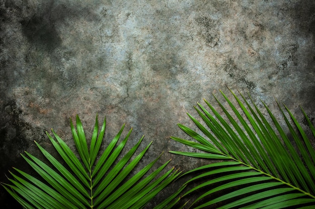 diseño creativo de hojas de palmeras tropicales en el fondo de la mesa