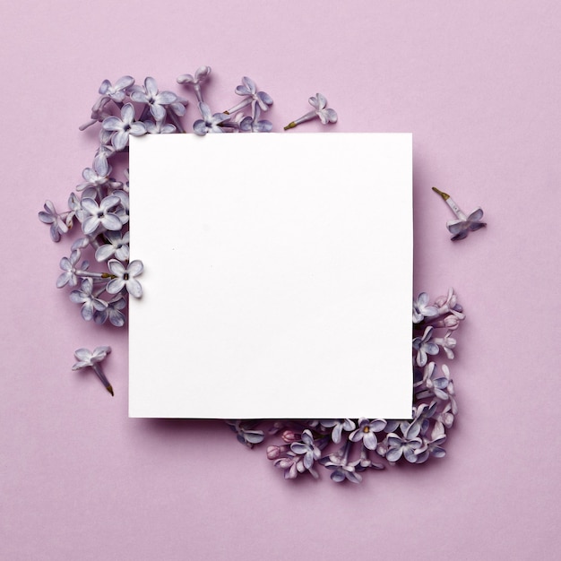 Diseño creativo realizado con flores lilas sobre fondo morado brillante con espacio para texto. Concepto mínimo de primavera.