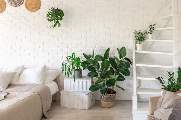 Diseño de dormitorio de lujo en una cabaña rústica de estilo minimalista. paredes blancas, ventanas panorámicas, elementos de decoración de madera en el techo, columpios de cuerda en medio de una habitación espaciosa.