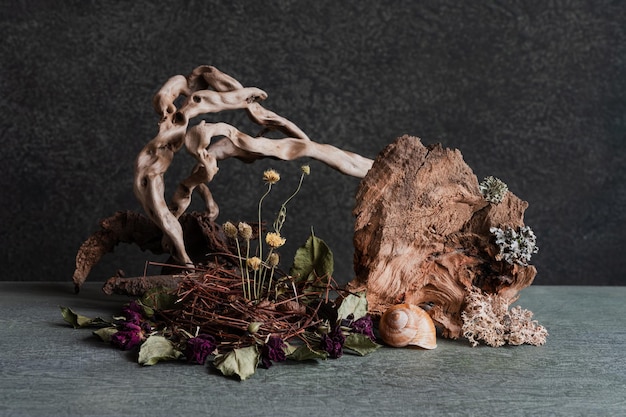 diseño de fitodiseño de vida muerta composición de flores secas ramas madera plumas de pájaro