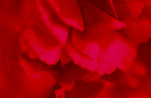 Diseño de fondo abstracto HD Color rojo turco oscuro