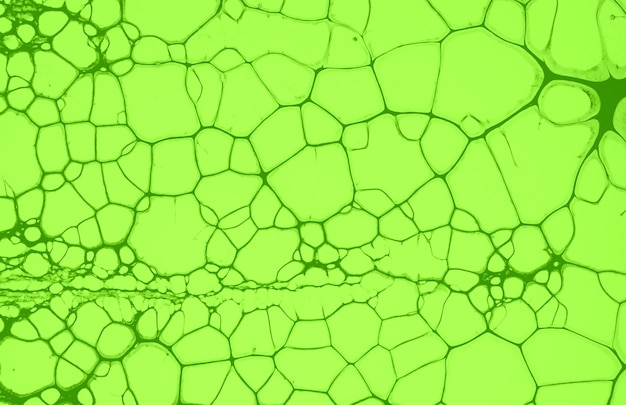 Diseño de fondo abstracto HD Color verde máximo