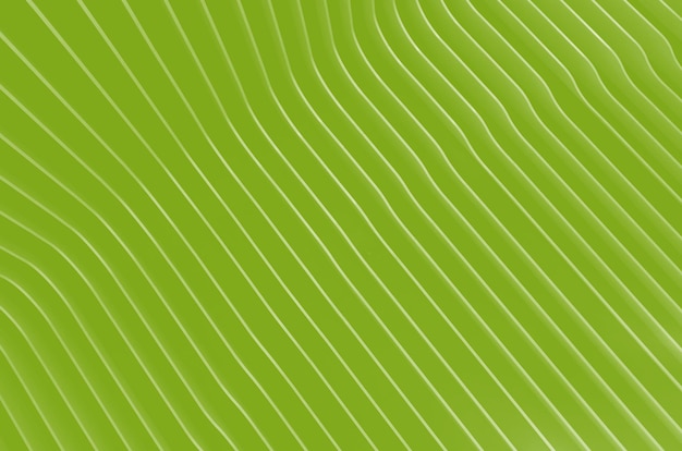Diseño de fondo abstracto HD Color verde de verano