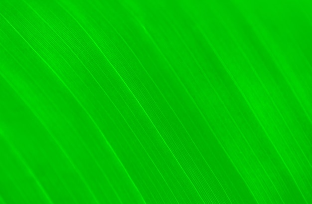 Diseño De Fondo De Rayas De Ilustración Moderna Abstracta