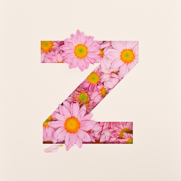 Diseño de fuente, fuente de alfabeto abstracto con flor rosa, tipografía de flor realista - Z
