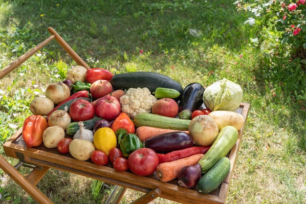 Diseño hecho con varias verduras y frutas en una mesa en un jardín al aire libre