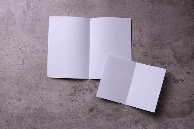 Diseño de identidad, plantillas corporativas, estilo de empresa, juego de folletos, volante de papel plegable blanco en blanco