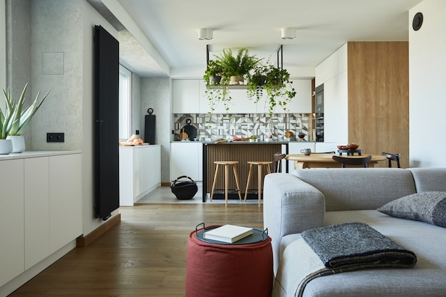 Foto diseño de interiores de sala de estar elegante con sofá gris y accesorios espacio de comedor en el fondo