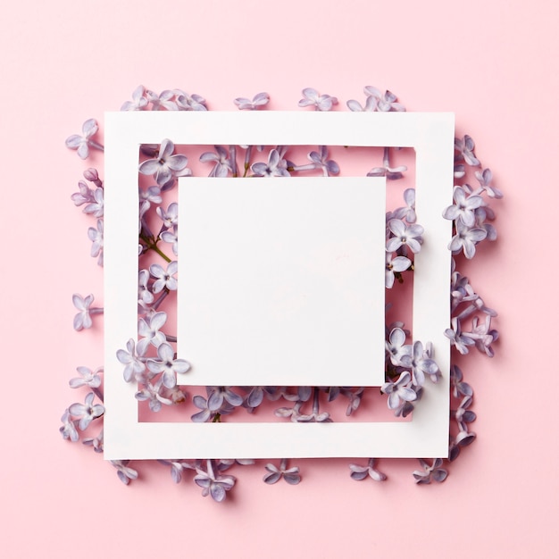 Diseño de marco creativo hecho de flores de primavera lila sobre un fondo rosa. Concepto de vacaciones mínimo. Patrón de endecha plana.