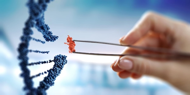 Diseño de moléculas de ADN con pinzas de sujeción de mano femenina. Técnica mixta