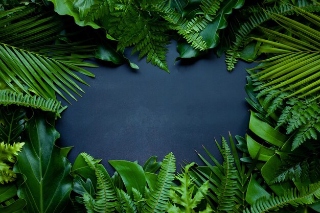 Diseño de naturaleza creativa hecha de hojas tropicales Fern Palm y hojas de monstera sobre fondo negro